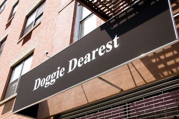 Doggie Dearest Dog and Cat Grooming 2 Pet Groomers Alphabet City Loisaida East Village