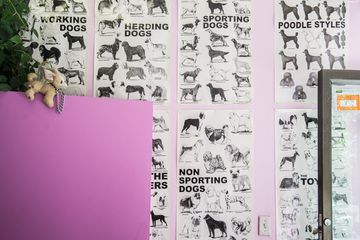 Doggie Dearest Dog and Cat Grooming 8 Pet Groomers Alphabet City Loisaida East Village