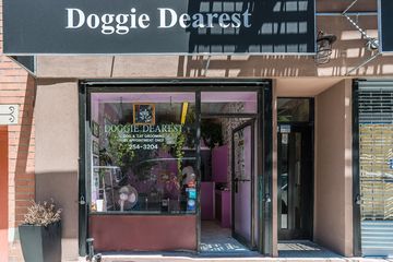 Doggie Dearest Dog and Cat Grooming 9 Pet Groomers Alphabet City East Village Loisaida
