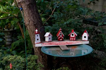 Creative Little Garden 1 Gardens undefined