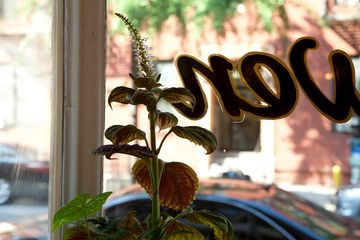 Van Leeuwen 6 Coffee Shops Ice Cream East Village