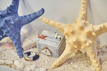 Roll it Up 14 Ice Cream East Village