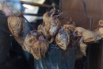 It's Time on 7th 2 Private Residences East Village