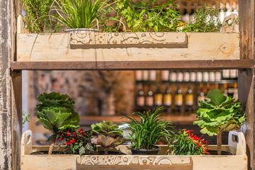 Timna 16 Mediterranean East Village