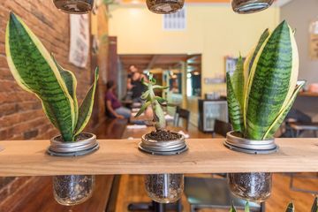 Vspot 2 Vegetarian Vegan Latin American East Village