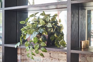 Mace 12 Bars Greenwich Village