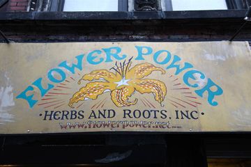 Flower Power 8 Florists Herbal East Village
