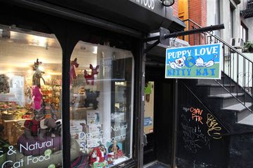 Puppy Love & Kitty Kat 1 Pet Stores East Village