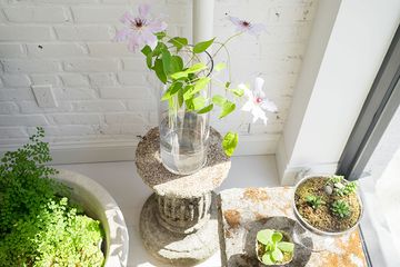 BeetleBug 1 Florists Event Planners East Village