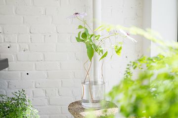 BeetleBug 2 Florists Event Planners East Village