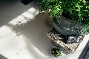 BeetleBug 5 Florists Event Planners East Village