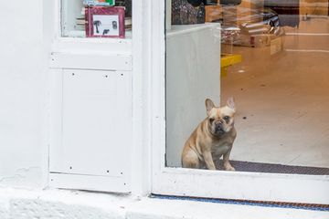 Love Gang 14 Jewelry Sunglasses T Shirts Women's Accessories Vintage Women's Clothing East Village