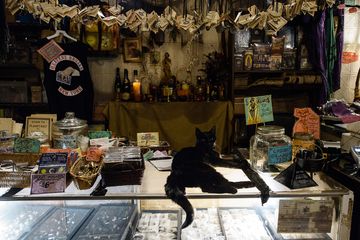 Enchantments Inc. 9 Herbal East Village