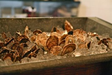 King Bee 14 Canadian Bars American French East Village