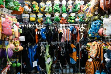 Whiskers Holistic Petcare 1 Pet Stores East Village