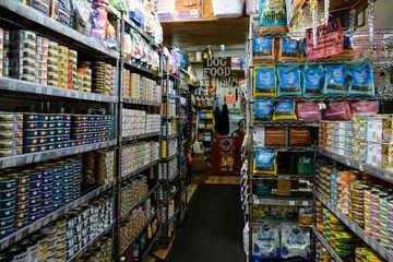 Whiskers Holistic Petcare 3 Pet Stores East Village