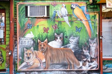 Whiskers Holistic Petcare 6 Pet Stores East Village