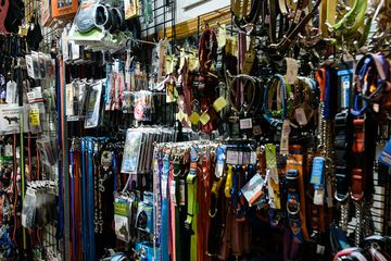 Whiskers Holistic Petcare 7 Pet Stores East Village