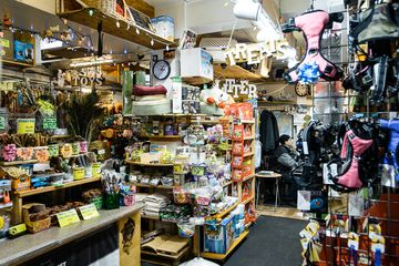 Whiskers Holistic Petcare 8 Pet Stores East Village