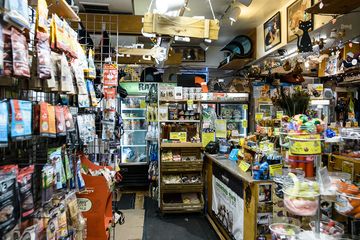 Whiskers Holistic Petcare 9 Pet Stores East Village