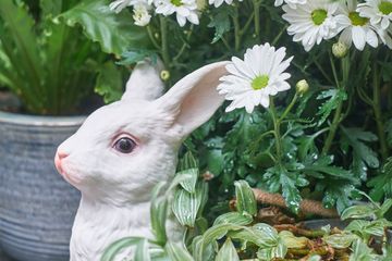 Pinto Garden 7 Thai West Village