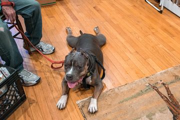 Bonnie Slotnick 8 Bookstores West Village