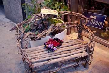 Fleurs Bella 3 Videos Florists Greenwich Village