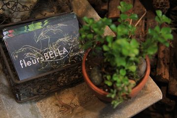 Fleurs Bella 9 Videos Florists Greenwich Village