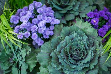 Fleurs Bella 11 Videos Florists Greenwich Village