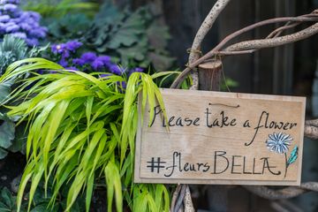 Fleurs Bella 12 Videos Florists Greenwich Village