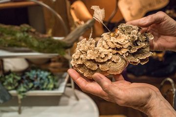 Fleurs Bella 14 Videos Florists Greenwich Village