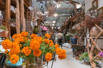 Fleurs Bella 36 Videos Florists Greenwich Village