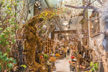 Fleurs Bella 37 Videos Florists Greenwich Village