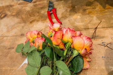Fleurs Bella 24 Videos Florists Greenwich Village