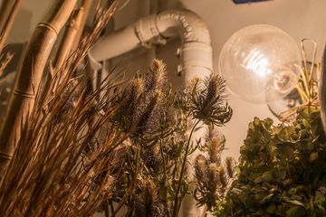 Fleurs Bella 25 Videos Florists Greenwich Village