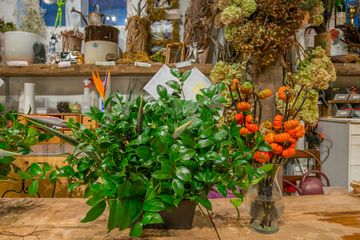 Fleurs Bella 31 Videos Florists Greenwich Village