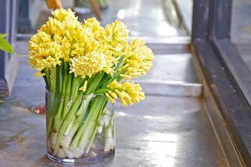 FlowerSchool New York 18 Schools West Village