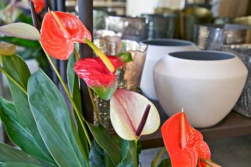 FlowerSchool New York 20 Schools West Village