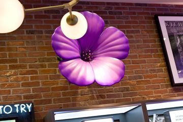 Kiehl's 5 Skin Care and Makeup Meatpacking District West Village