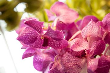 Banchet Flowers 13 Florists Chelsea