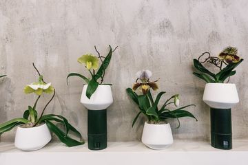 Banchet Flowers 2 Florists Chelsea