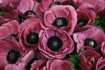 Banchet Flowers 3 Florists Chelsea