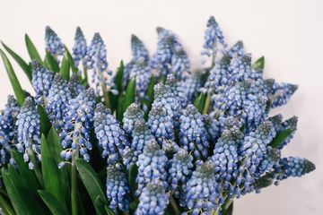 Banchet Flowers 4 Florists Chelsea