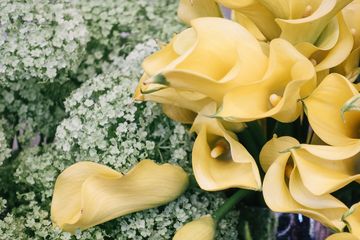 Banchet Flowers 5 Florists Chelsea