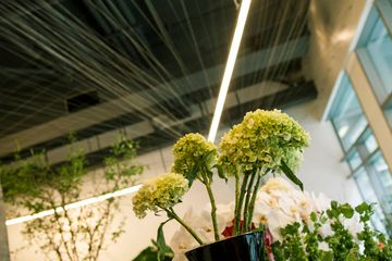 Banchet Flowers 10 Florists Chelsea