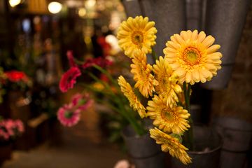 Chelsea Market 9 Blog Chelsea Market Market Place Food Halls Chelsea