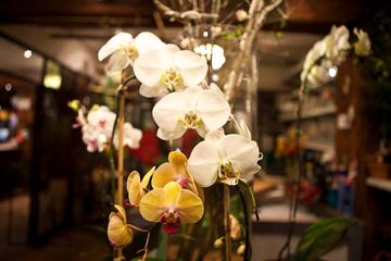 Chelsea Market 10 Blog Chelsea Market Market Place Food Halls Chelsea