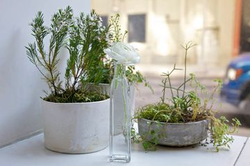 ABC Kitchen 8 Brunch American Flatiron