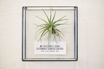 Wisefish Poké 2 Hawaiian Seafood Chelsea