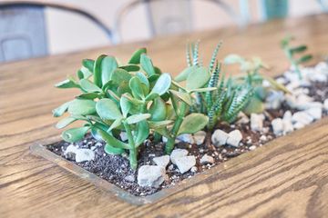 Wisefish Poké 5 Hawaiian Seafood Chelsea